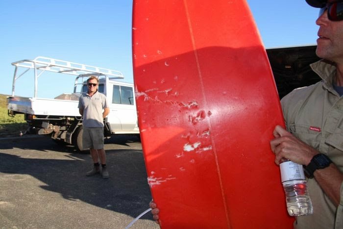 Margaret River Pro – Deux Surfeurs Attaqués Par Des Requins